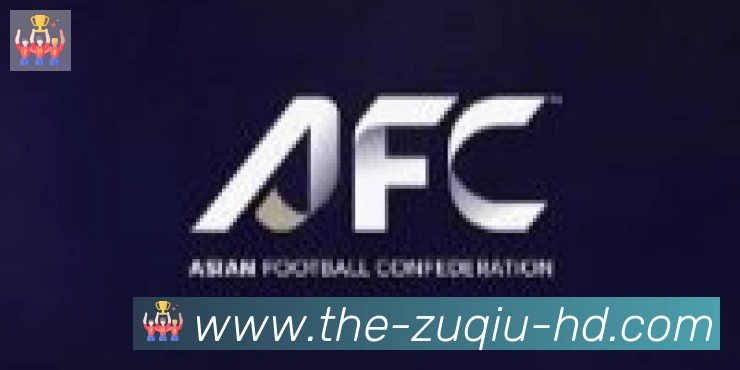 足球直播合作伙伴